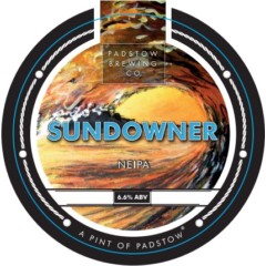 Strawberry & Pineapple Kombucha - 330ml Cans - Hip Pop